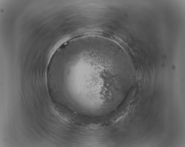 X0000068890148200605122043