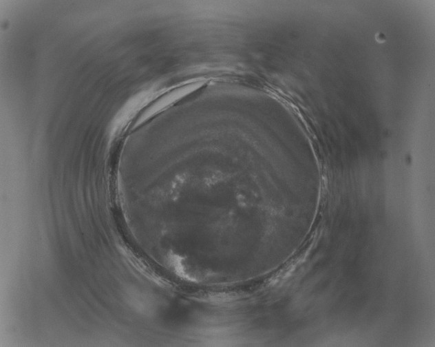 X0000068890149200605122043