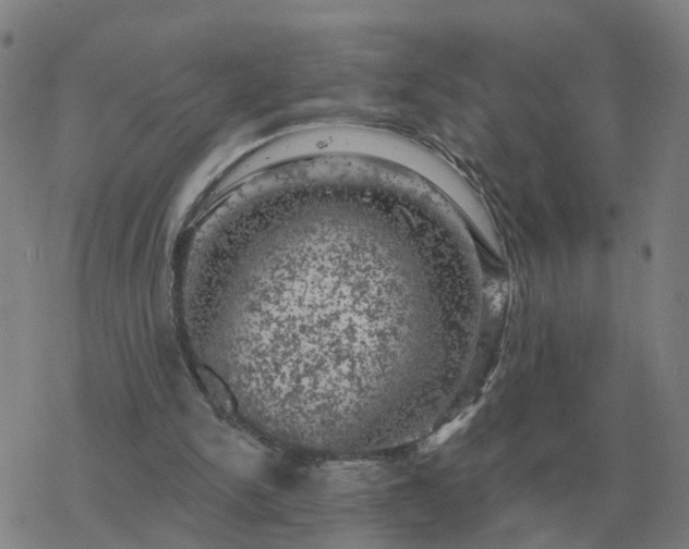 X0000068890150200605122043