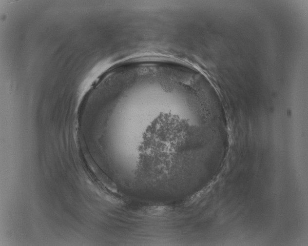 X0000068890152200605122043