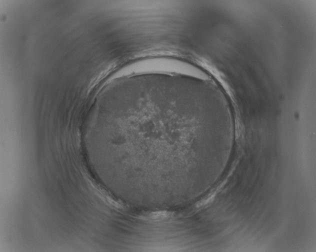 X0000068890153200605122043