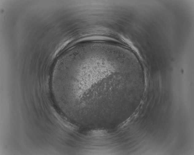 X0000068890154200605122043