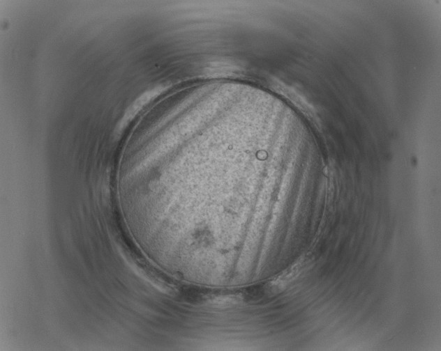 X0000068890155200605122043