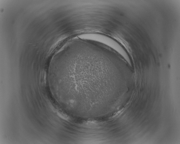 X0000068890157200605122043