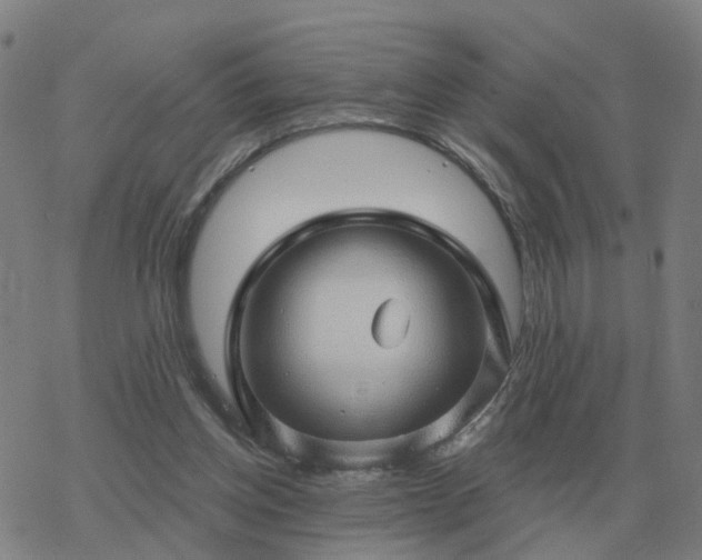 X0000068890158200605122043