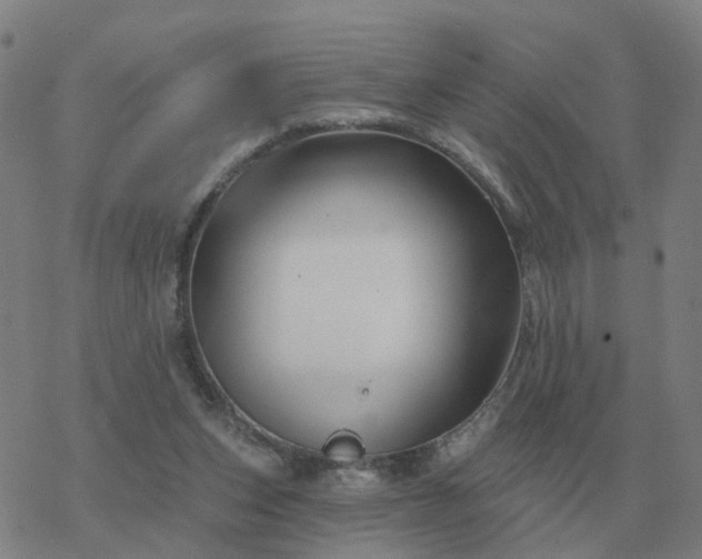 X0000068890159200605122043