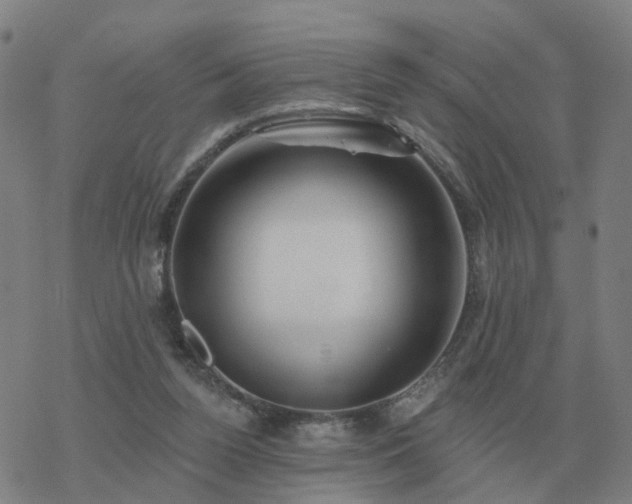 X0000068890160200605122043