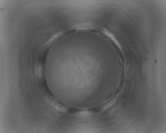 X0000068890161200605122043