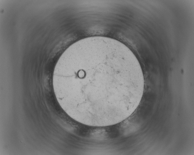 X0000068890162200605122043