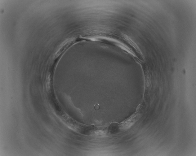 X0000068890163200605122043