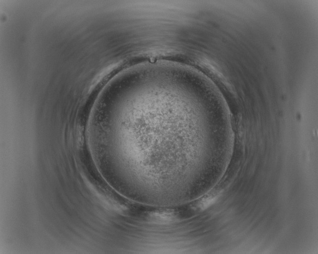 X0000068890164200605122043