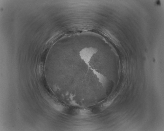 X0000068890165200605122043