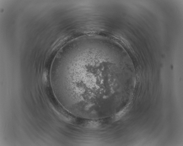 X0000068890166200605122043