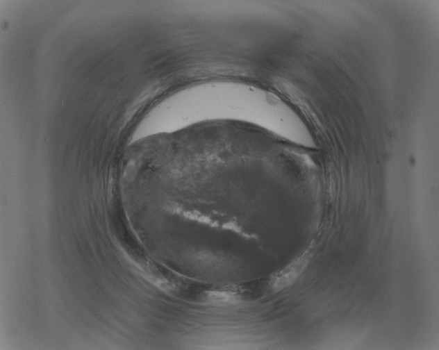 X0000068890167200605122043