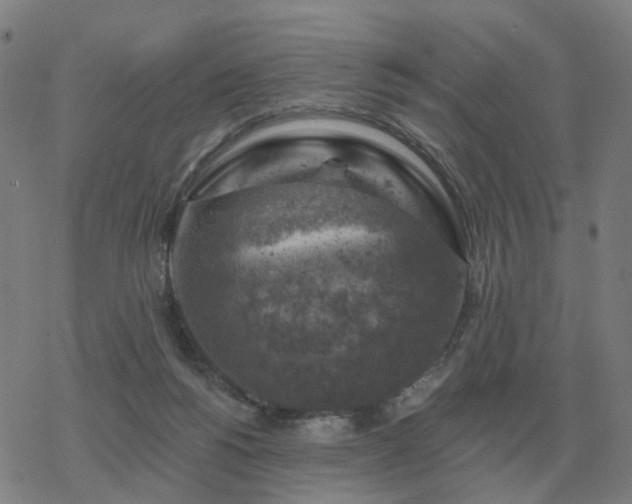 X0000068890168200605122043