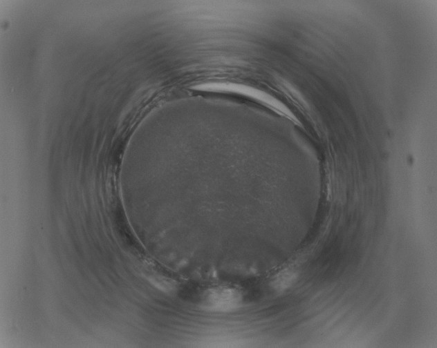 X0000068890169200605122043