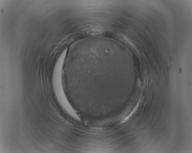 X0000068890170200605122043