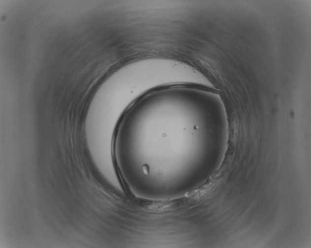 X0000068890172200605122043