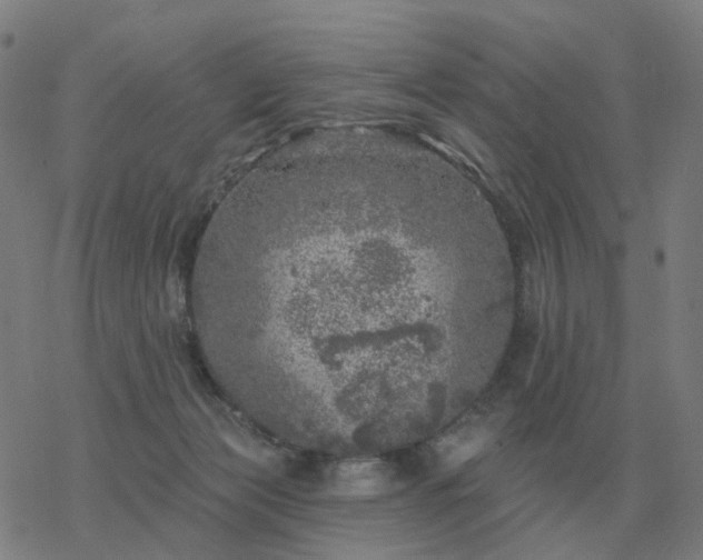 X0000068890173200605122043