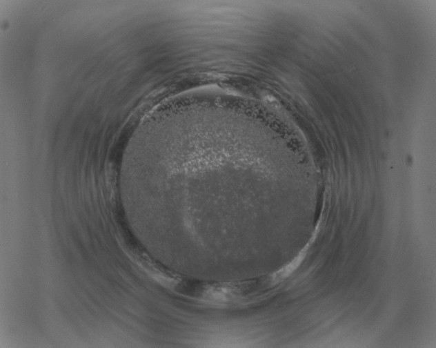 X0000068890174200605122043