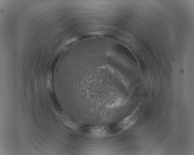 X0000068890175200605122043