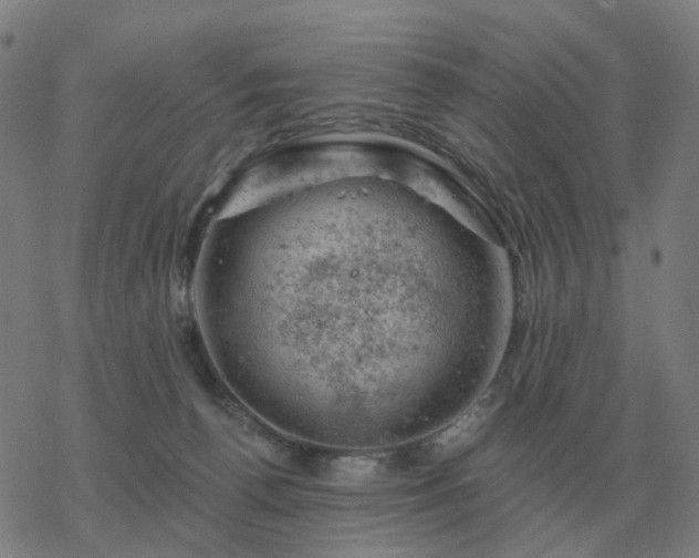 X0000068890176200605122043