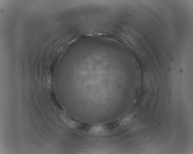 X0000068890177200605122043