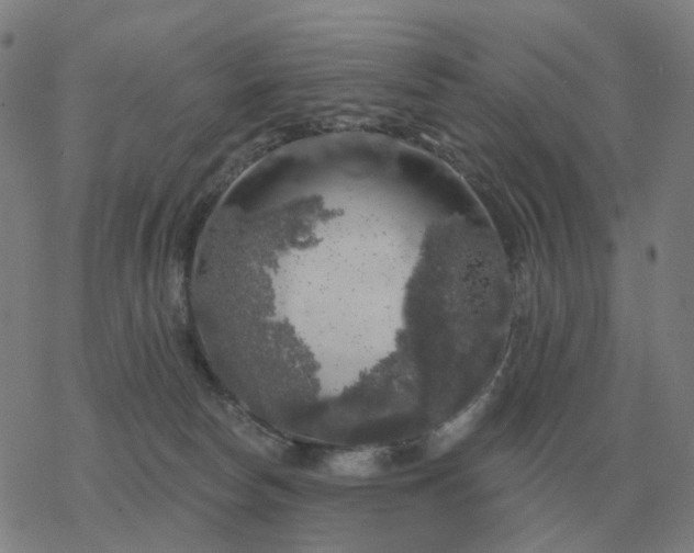 X0000068890178200605122043