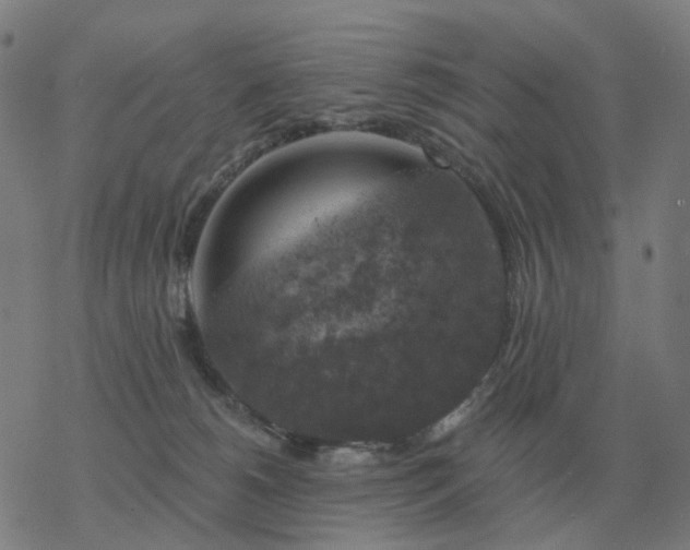 X0000068890180200605122043