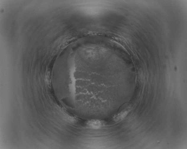 X0000068890181200605122043