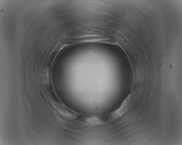 X0000068890183200605122043