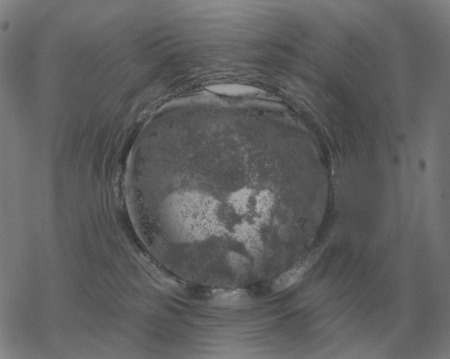 X0000068890185200605122043