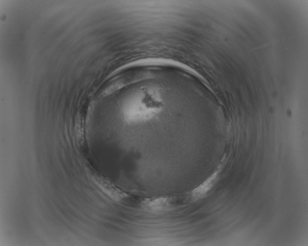 X0000068890186200605122043