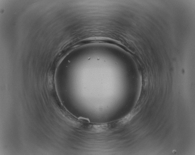 X0000068890188200605122043