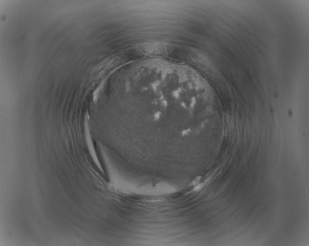 X0000068890189200605122043