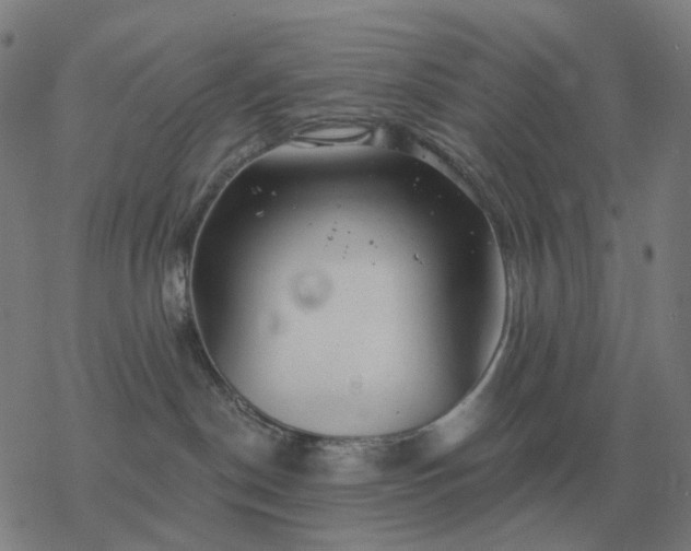 X0000068890190200605122043