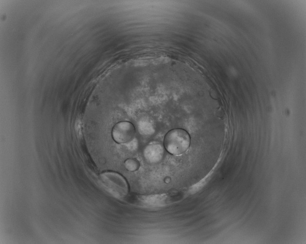 X0000068890191200605122043