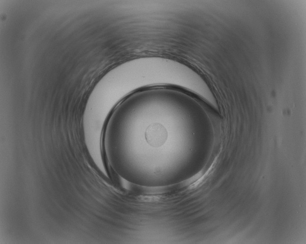 X0000068890192200605122043