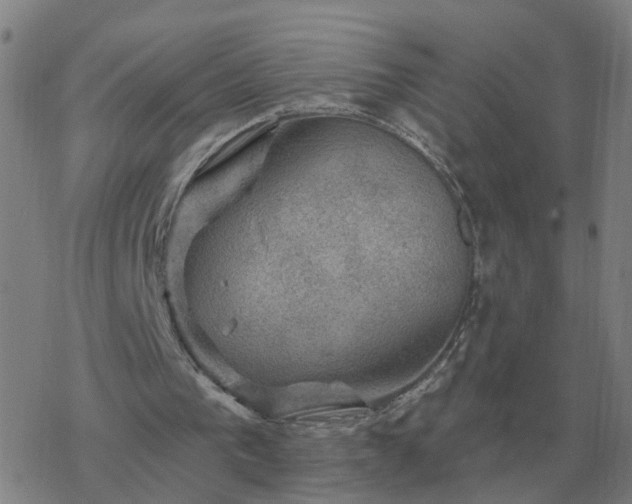 X0000068890193200605122043