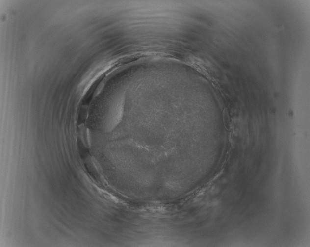 X0000068890194200605122042