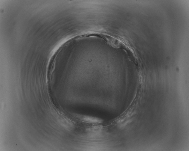 X0000068890196200605122042