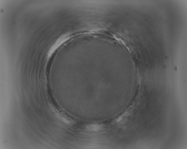 X0000068890198200605122042