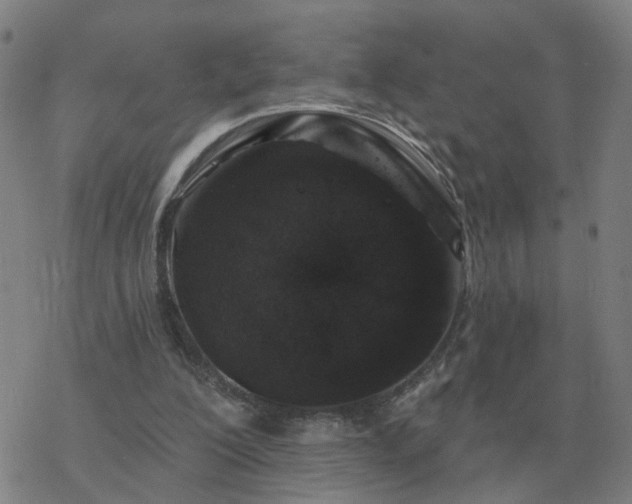 X0000068890200200605122042