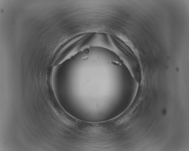 X0000068890201200605122042