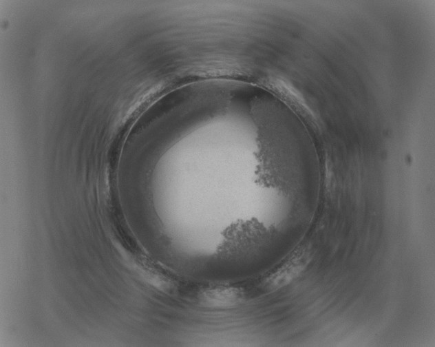 X0000068890202200605122042