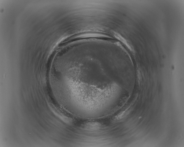 X0000068890203200605122042