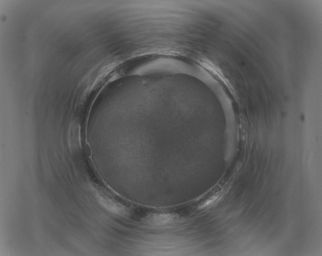 X0000068890205200605122042