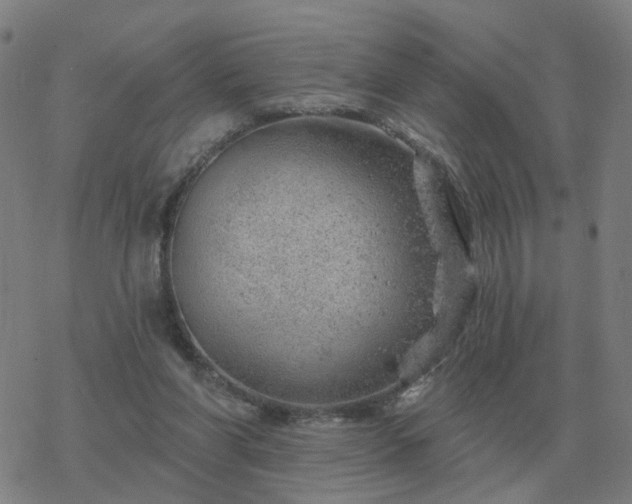 X0000068890206200605122042