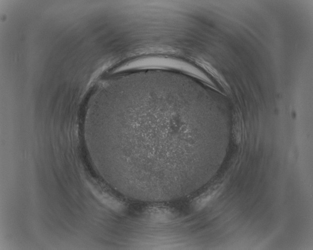 X0000068890207200605122042