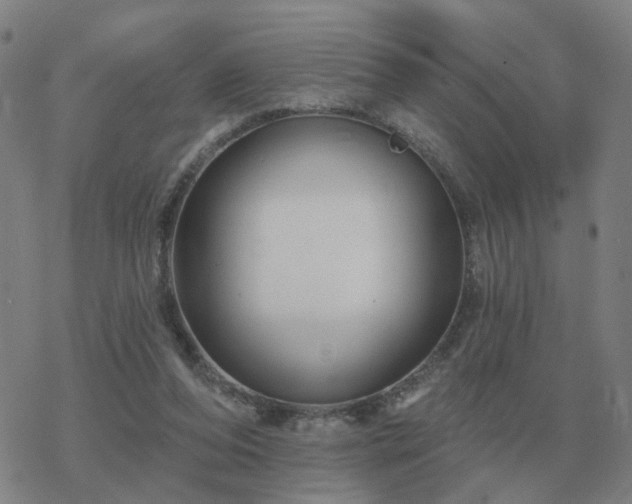 X0000068890208200605122042